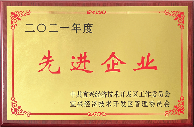 丹森科技-先进企业奖牌_副本.jpg