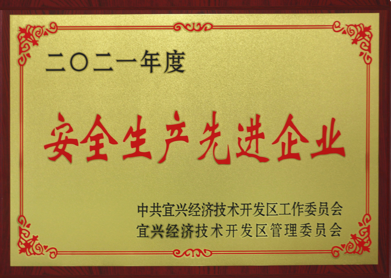 丹森科技-安全生产先进企业_副本_副本.jpg
